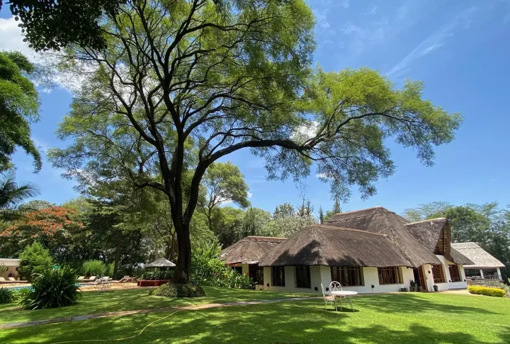 Ngorongoro Farm House — image 2