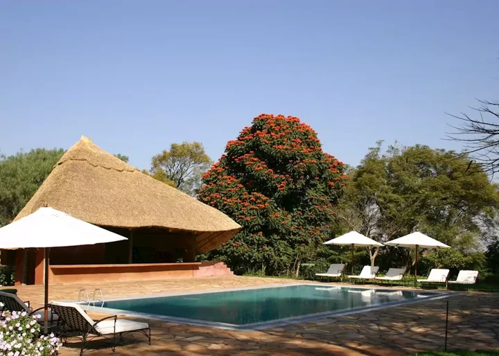 Ngorongoro Farm House — image 3