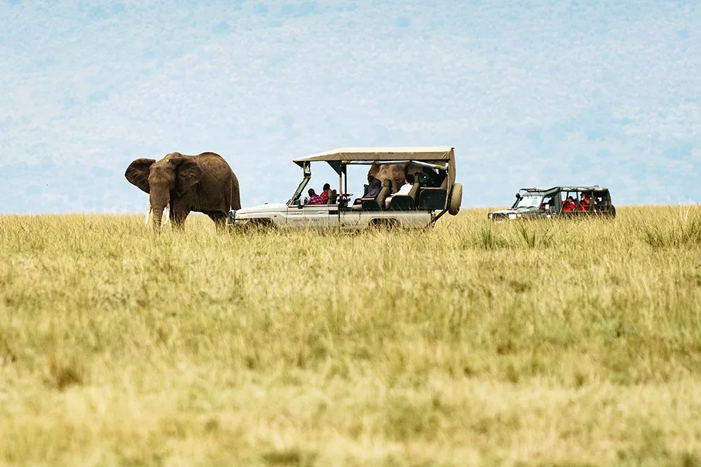 Ngorongoro Neptune Lodge — image 3
