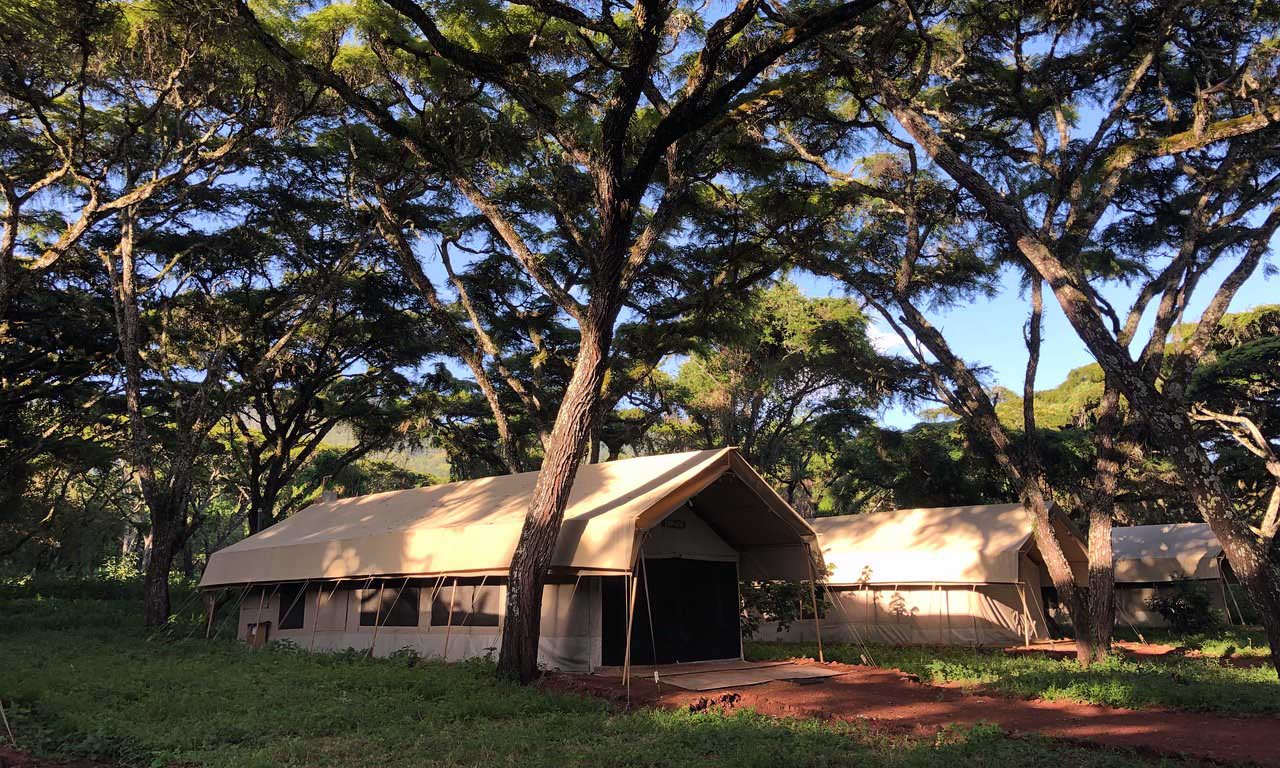 Ngorongoro Tortilis Camp — image 3