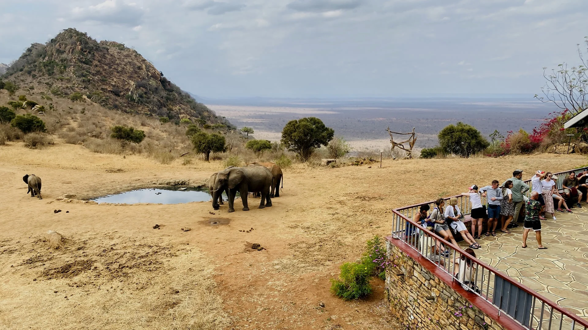 Ngulia Safari Lodge — image 2