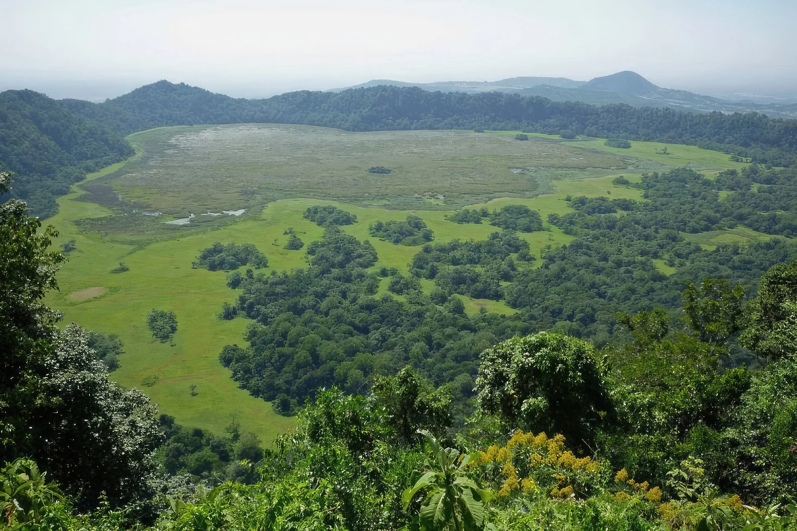 Ngurdoto Mountain Lodge — image 4