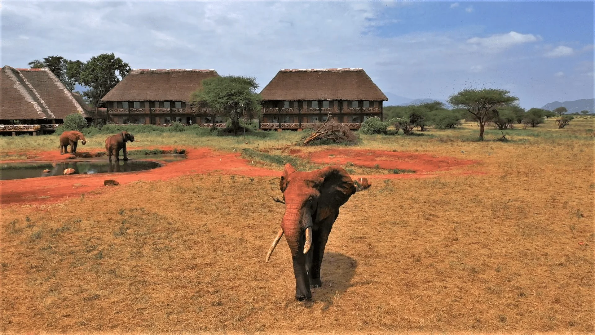 Ngutuni Lodge — image 3