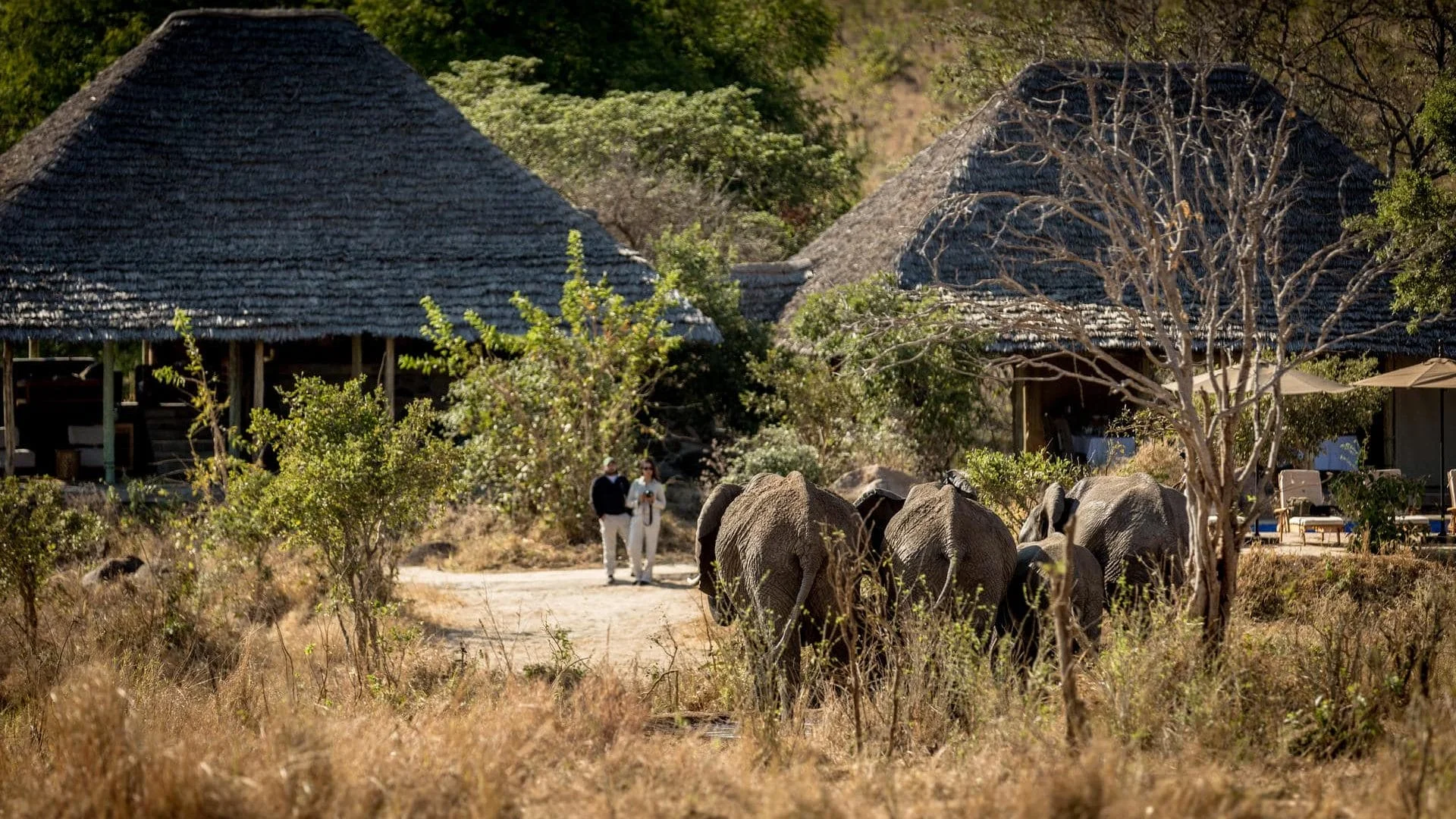 Nimali Tarangire Camp — Tarangire National Park