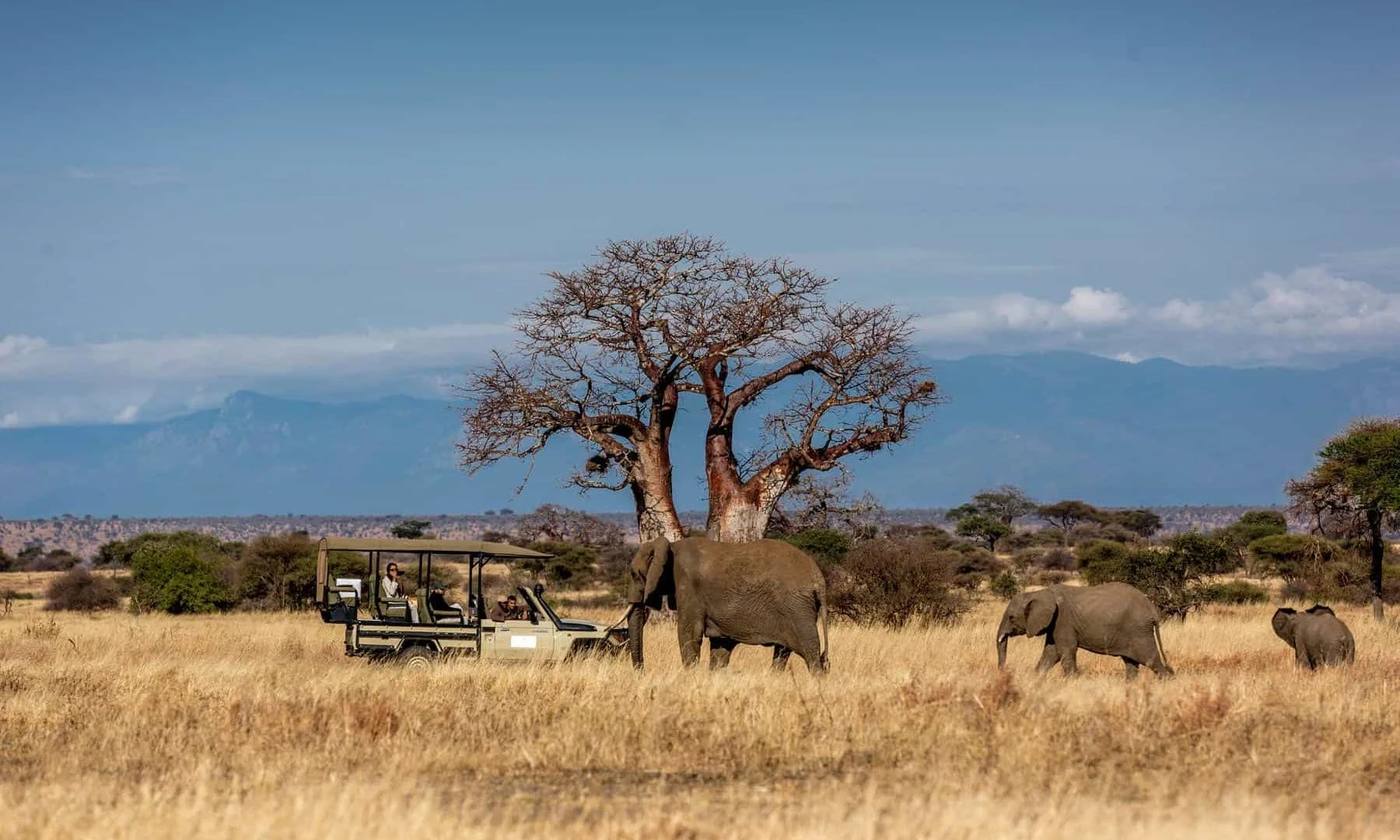 Nimali Tarangire Camp — image 2