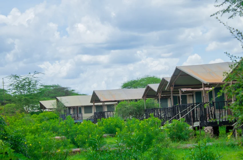 Nyati Safari Camp — image 3