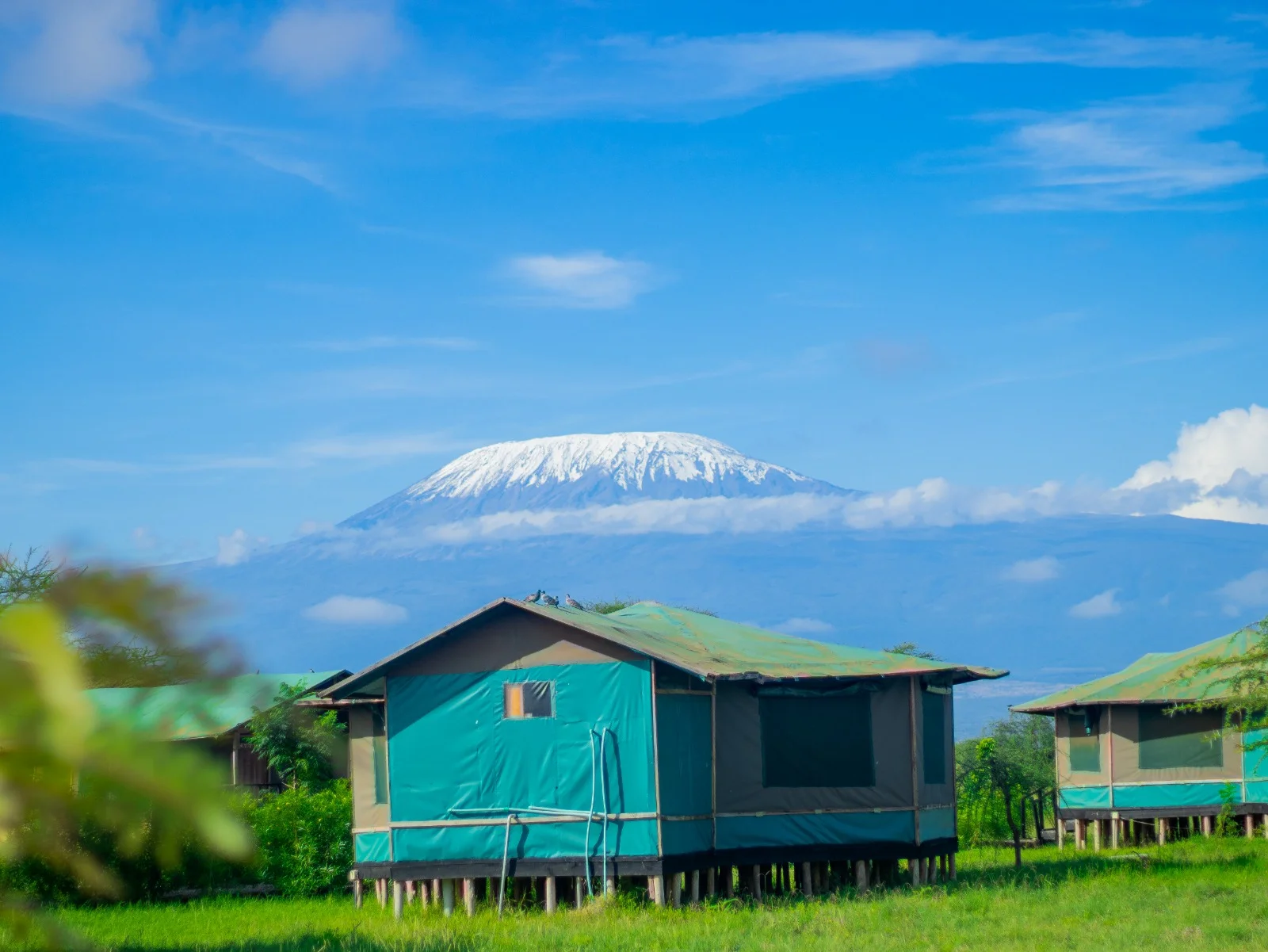 Nyati Safari Camp — Amboseli National Park