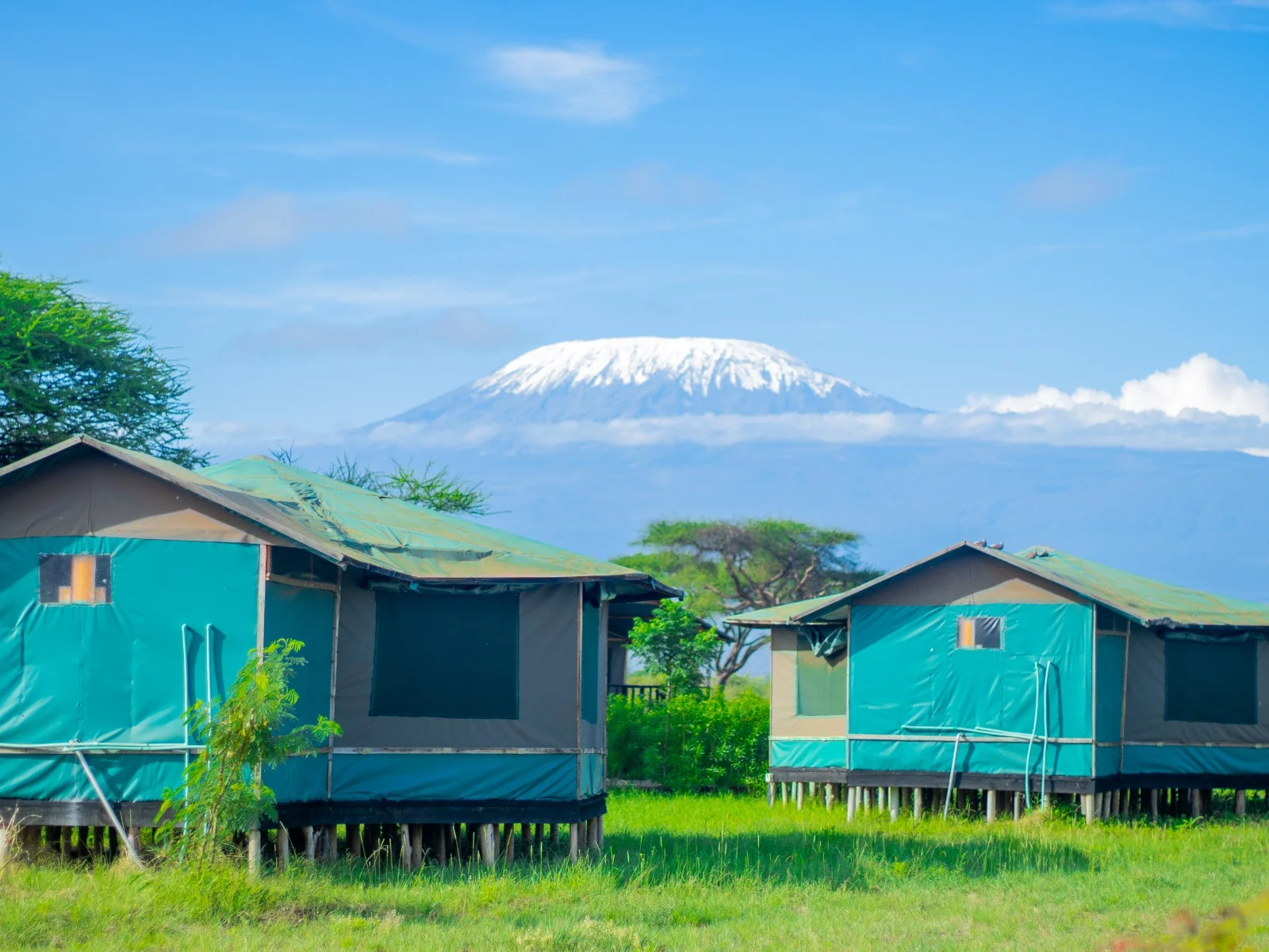 Nyati Safari Camp — image 2