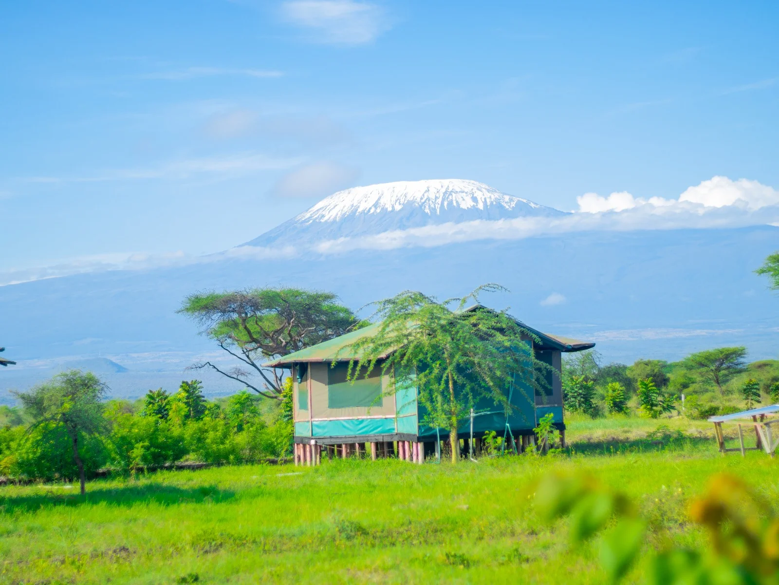 Nyati Safari Camp — image 4