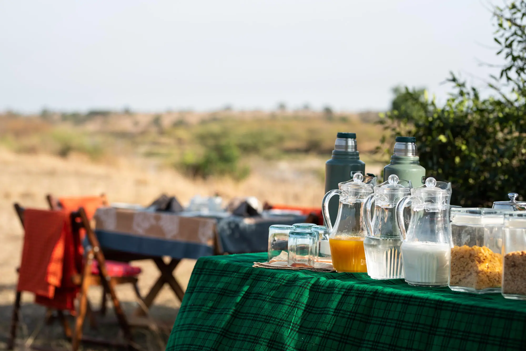 Nyikani Migration Camp Ndutu — image 3