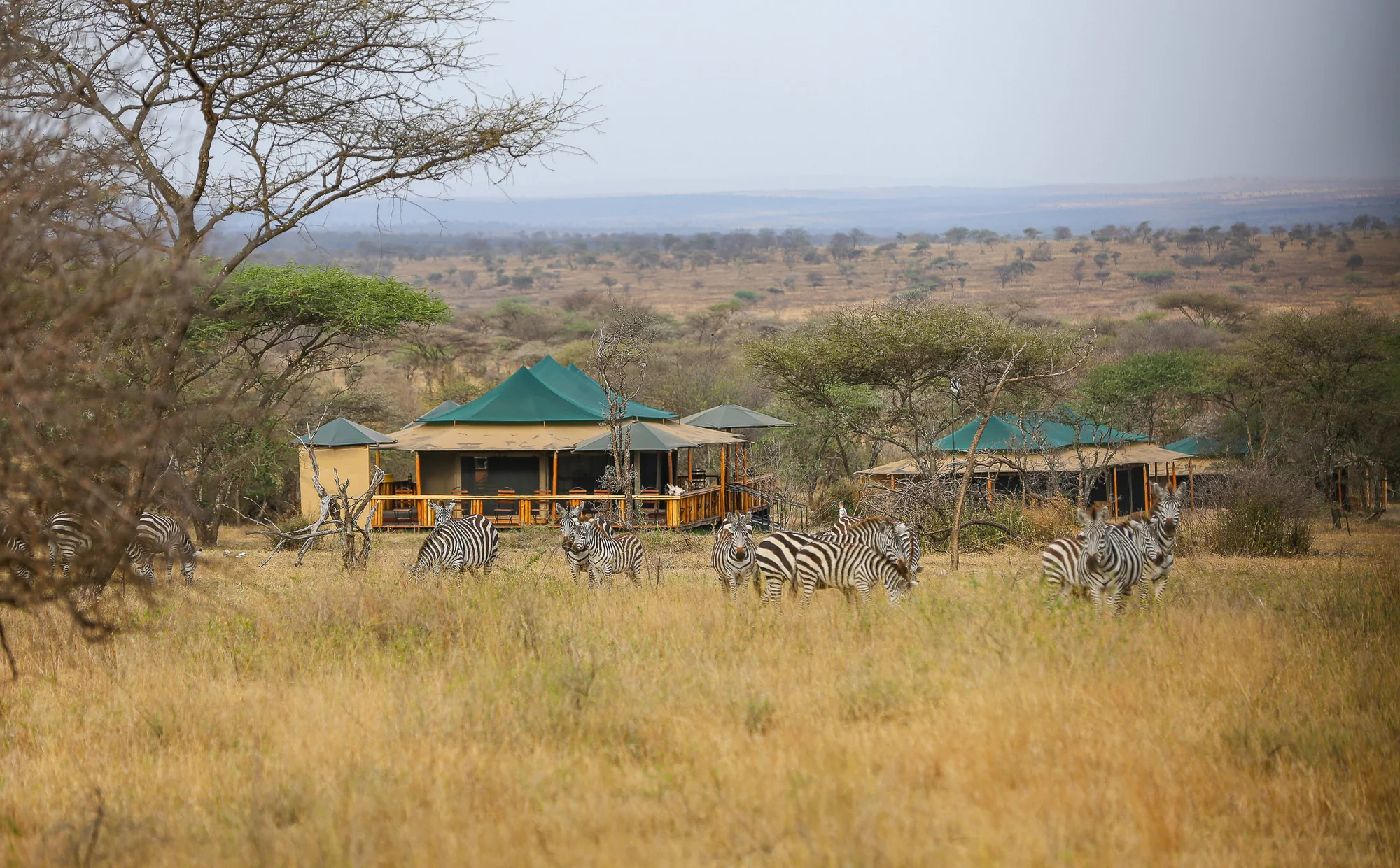 Nyota Luxury Tented Camp — image 4