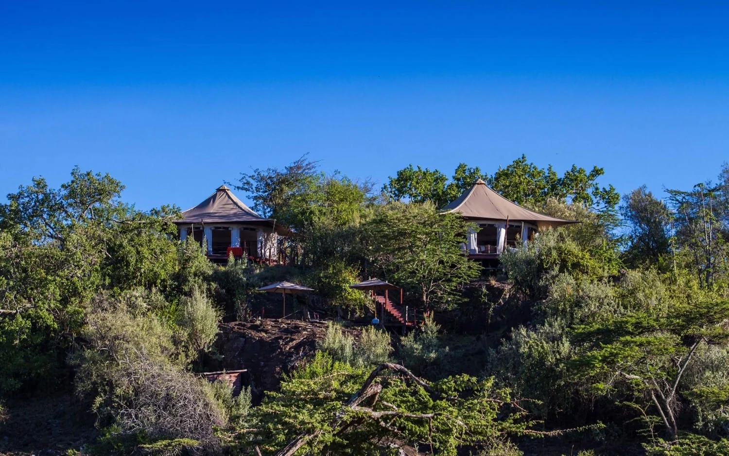 Ol Seki Hemingways Mara — image 4