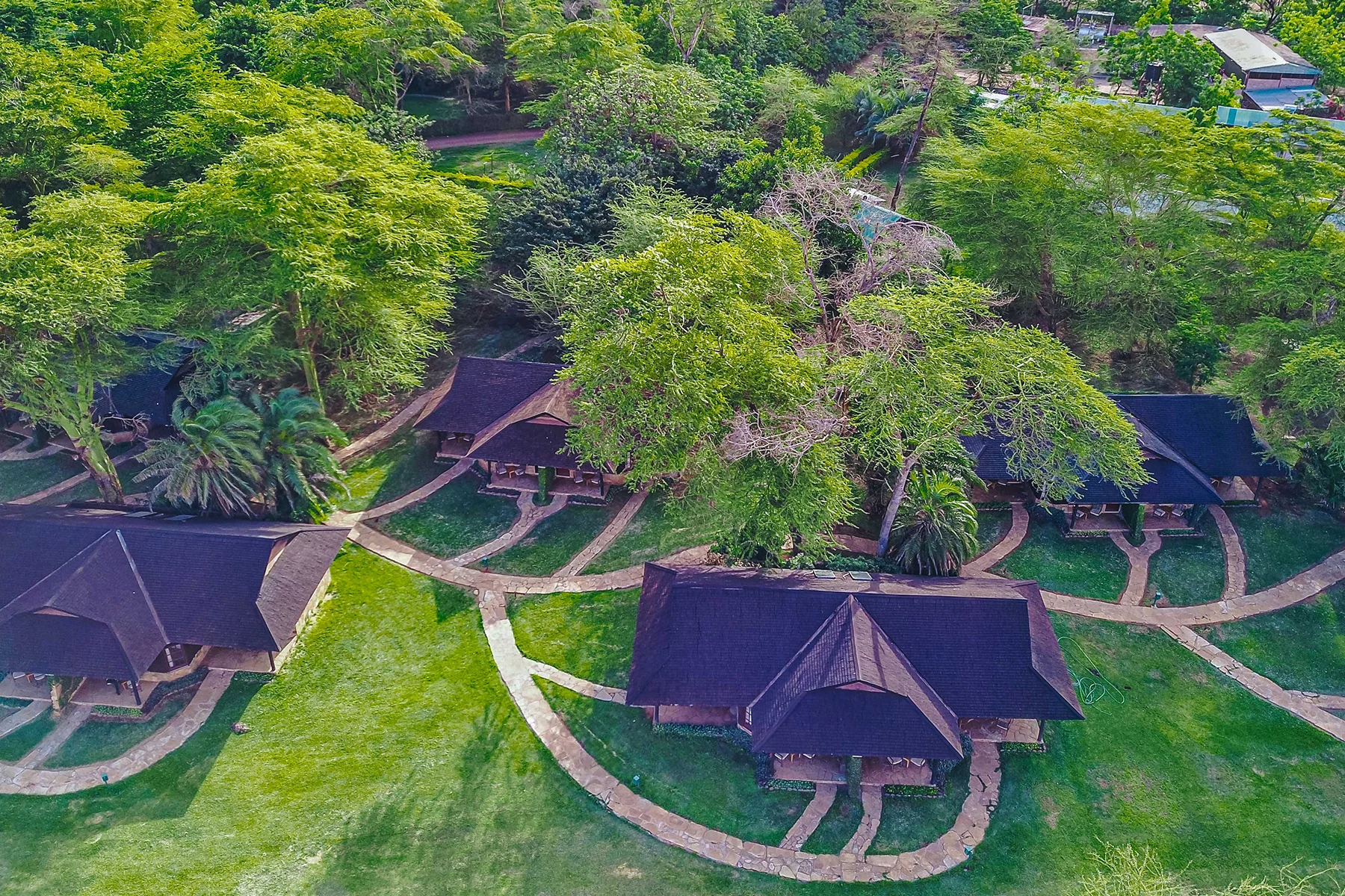 Ol Tukai Lodge — image 4