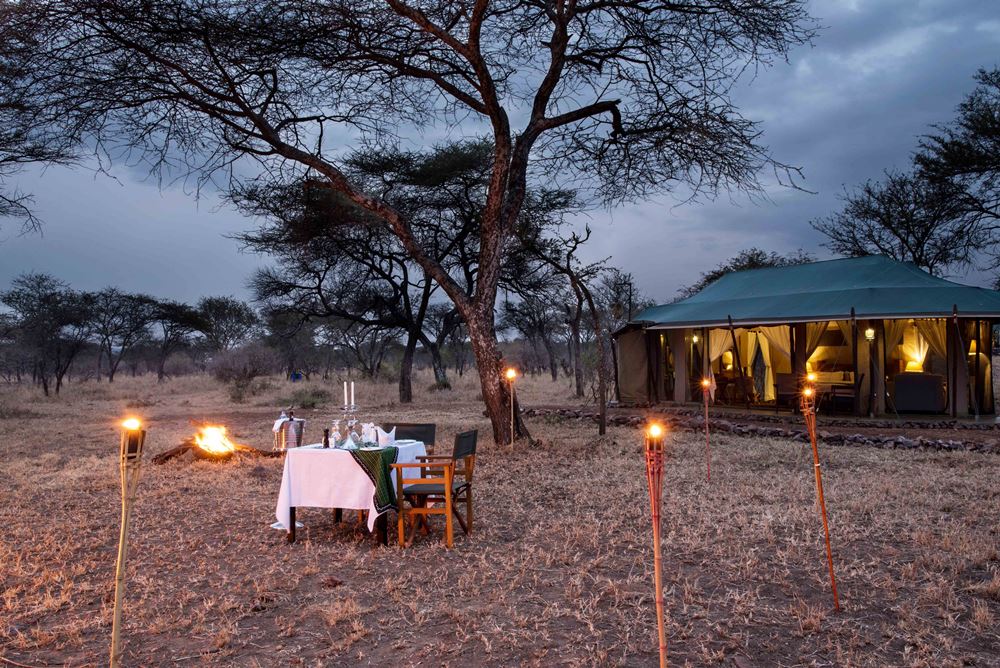 Ole Serai Luxury Camp — Moru Kopjes — image 4