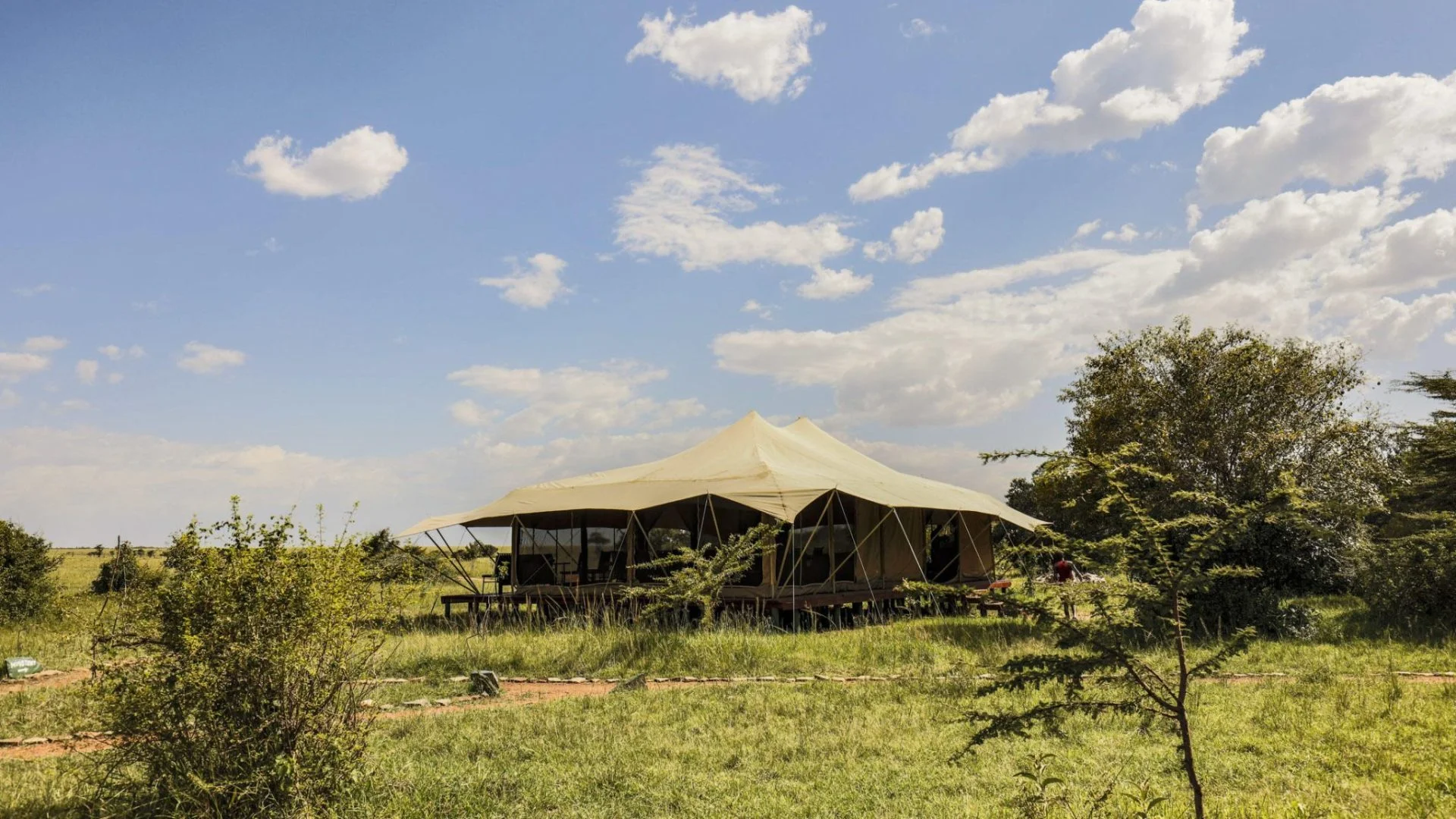 Porini Lion Camp — image 2