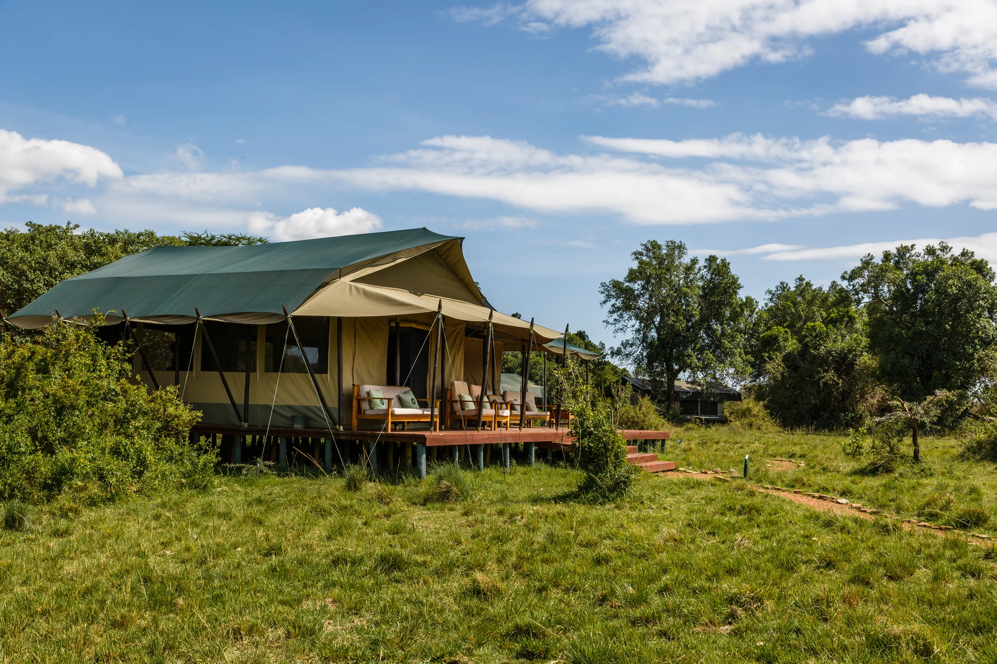 Porini Lion Camp