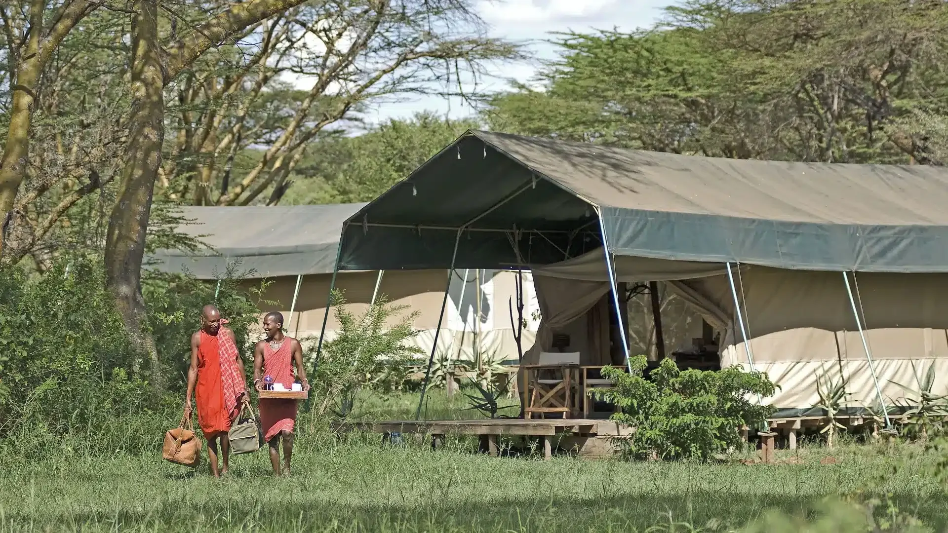 Porini Mara Camp — image 3