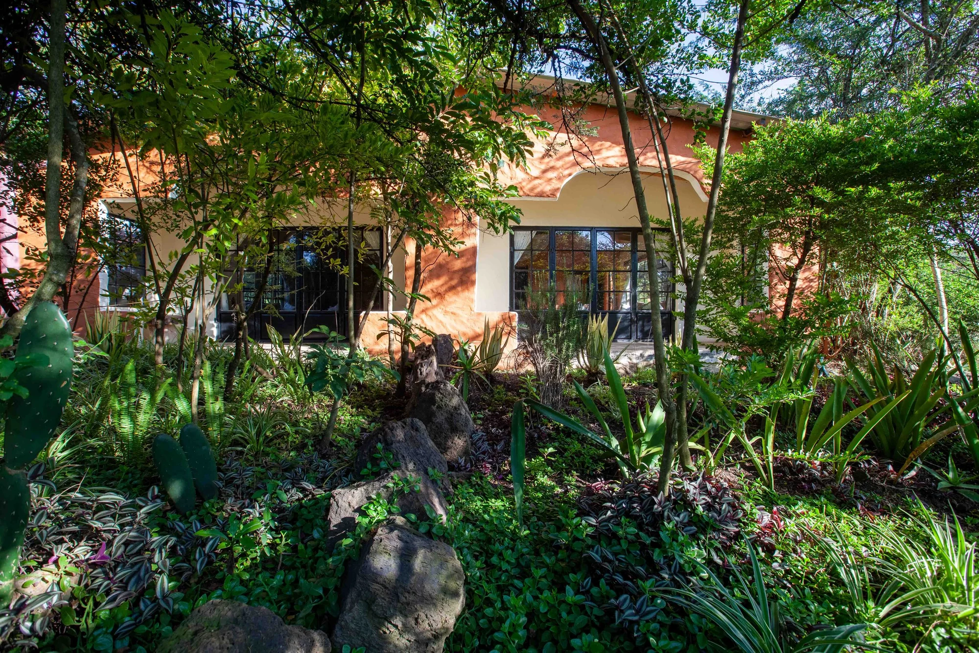 Punda Milias Nakuru Camp — image 2