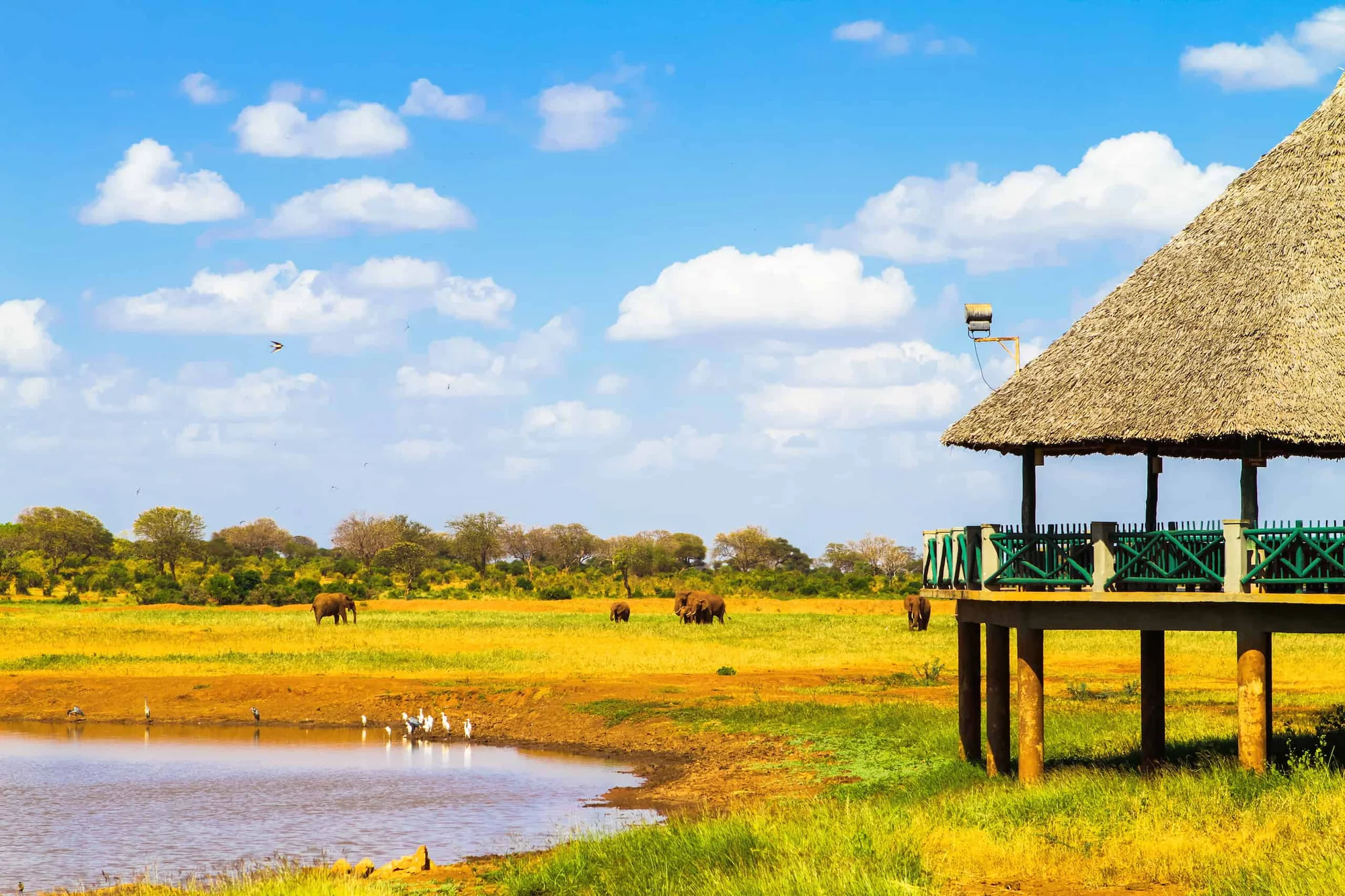 Red Elephant Lodge