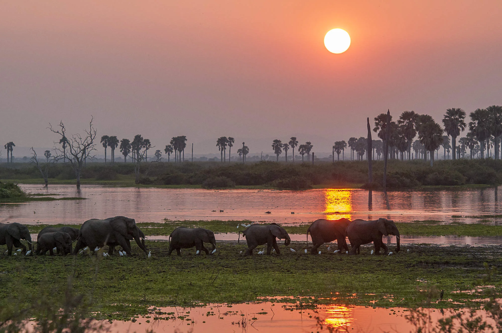 Retreat Selous by Nomad — image 3