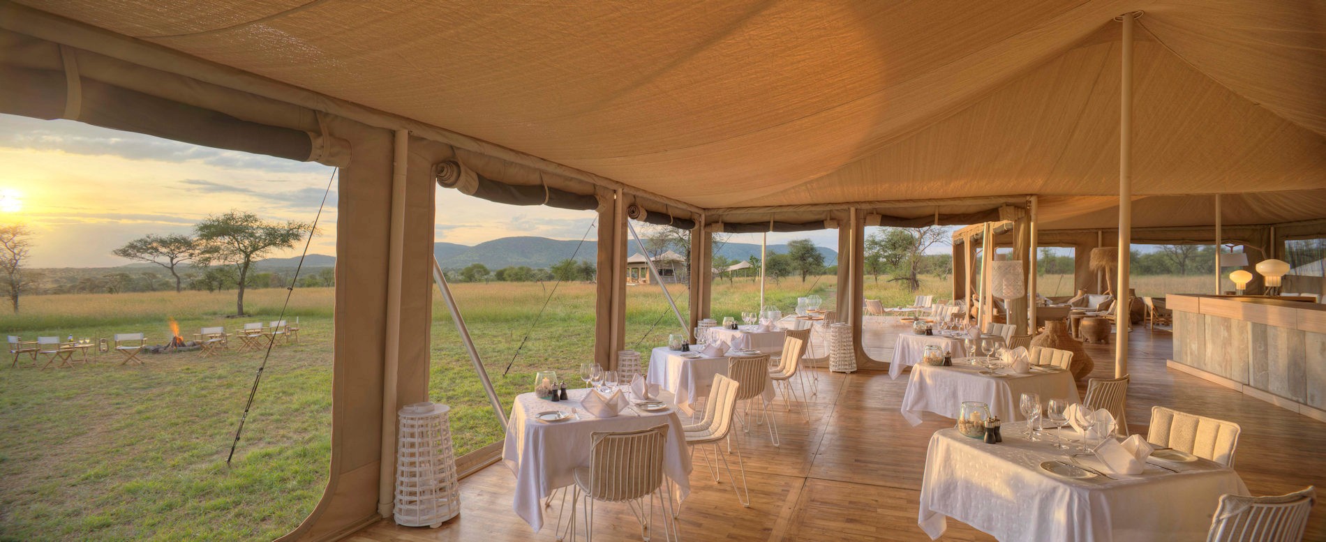 Roving Bushtops Camp Ndutu — image 2