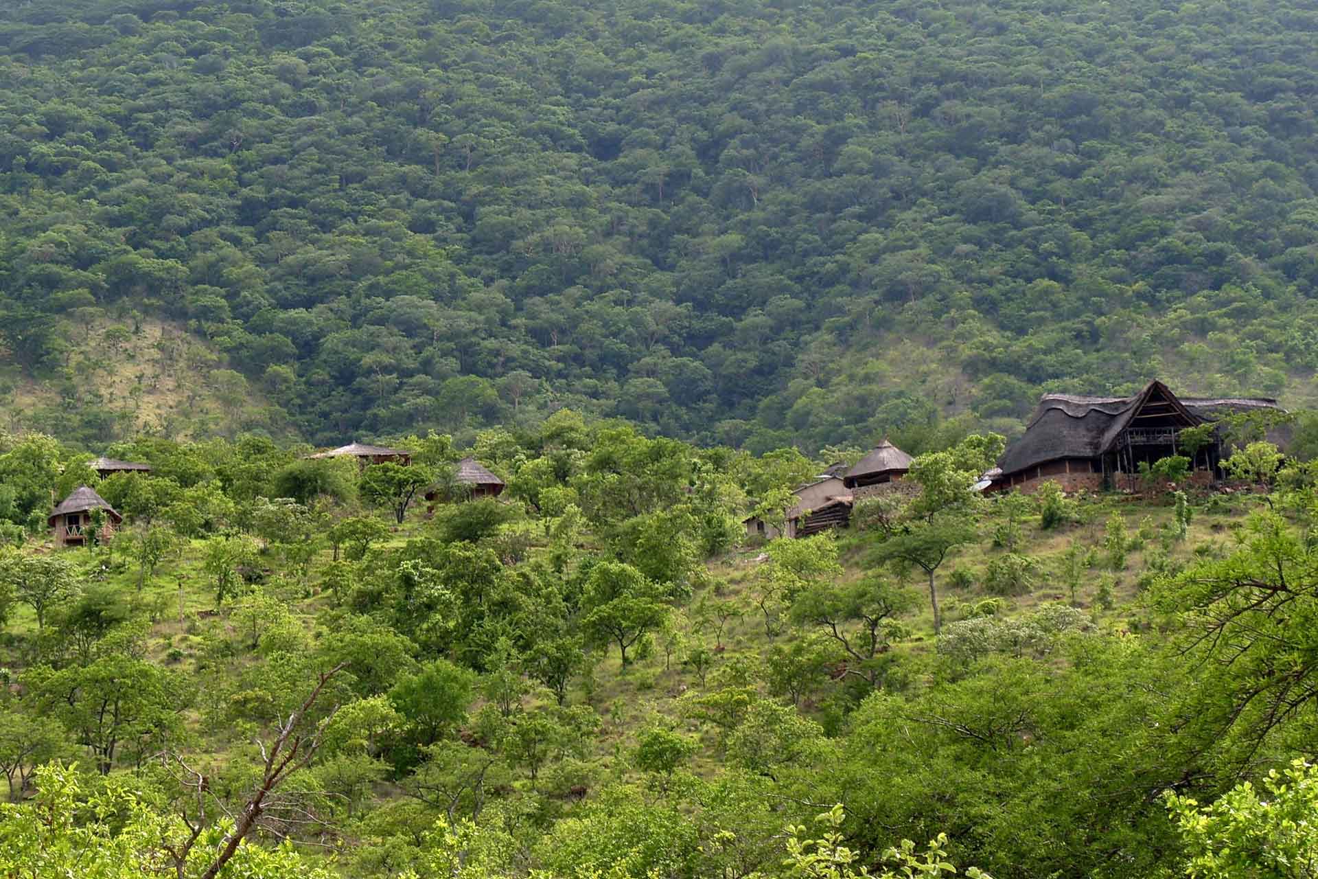 Ruaha Hilltop Lodge — Ruaha National Park