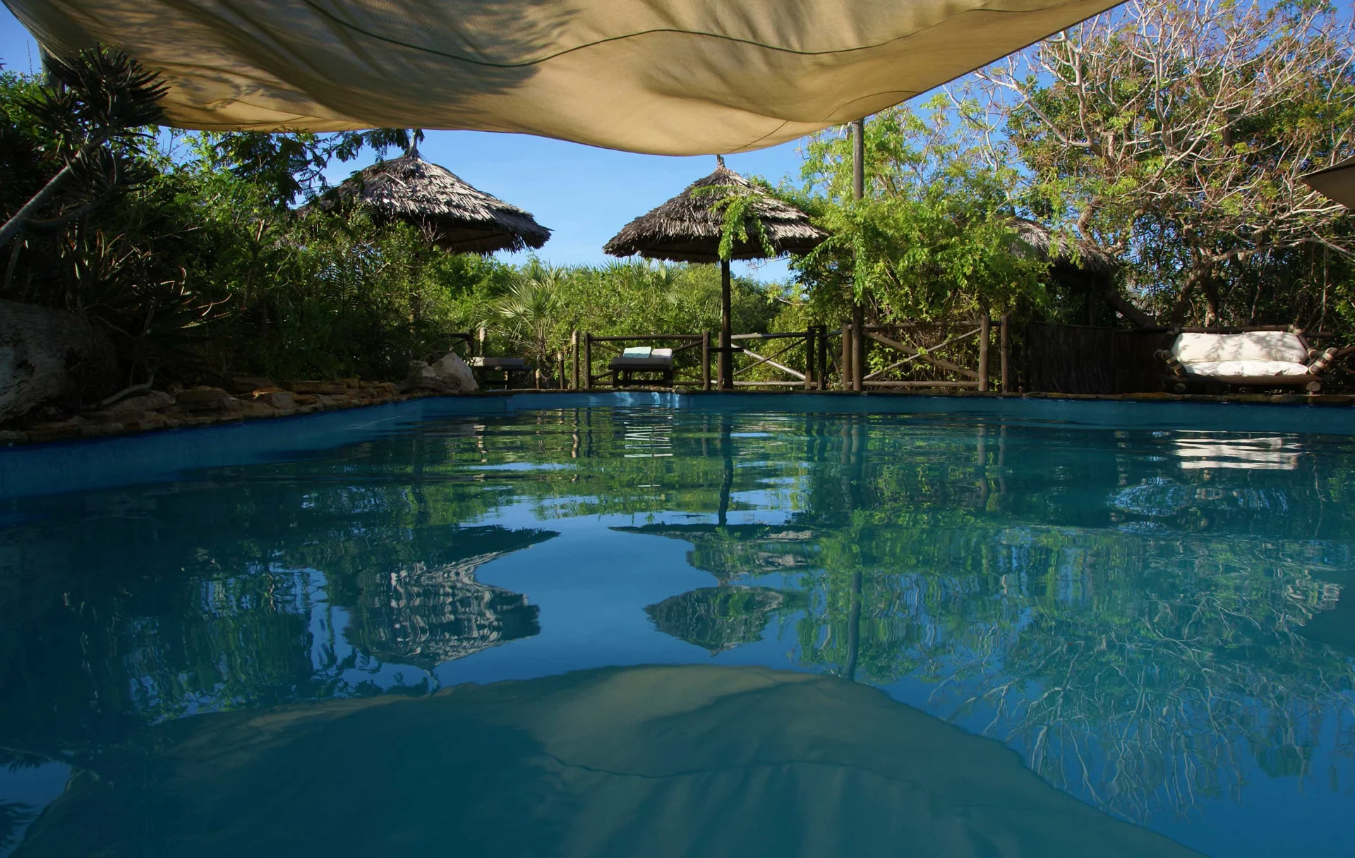 Saadani Safari Lodge — image 3