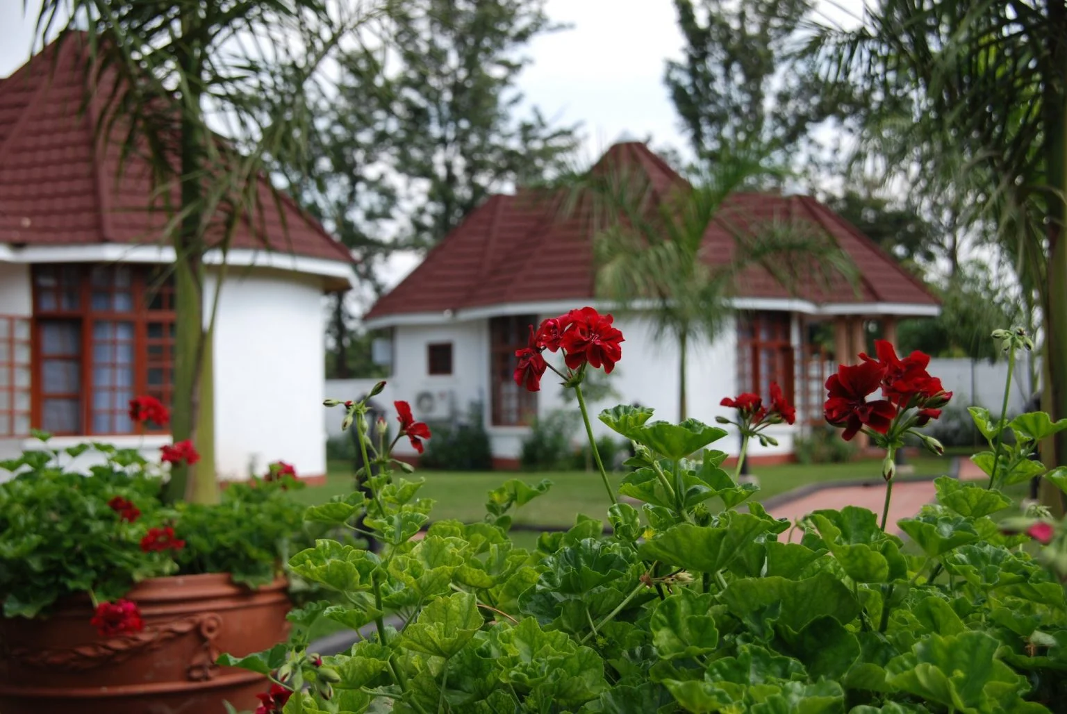 Salinero Kilimanjaro Hotel — image 3