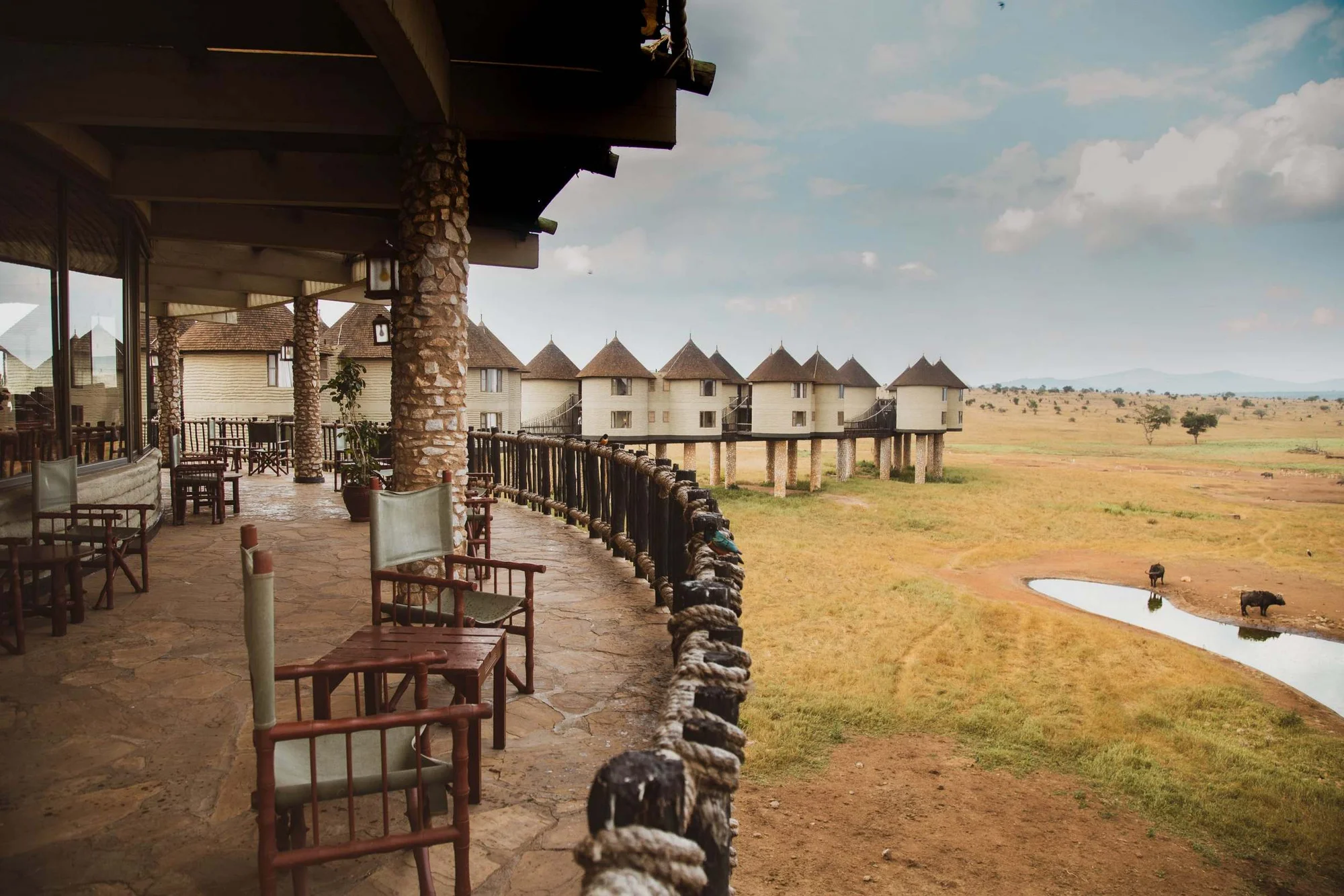 Salt Lick Safari Lodge — image 2