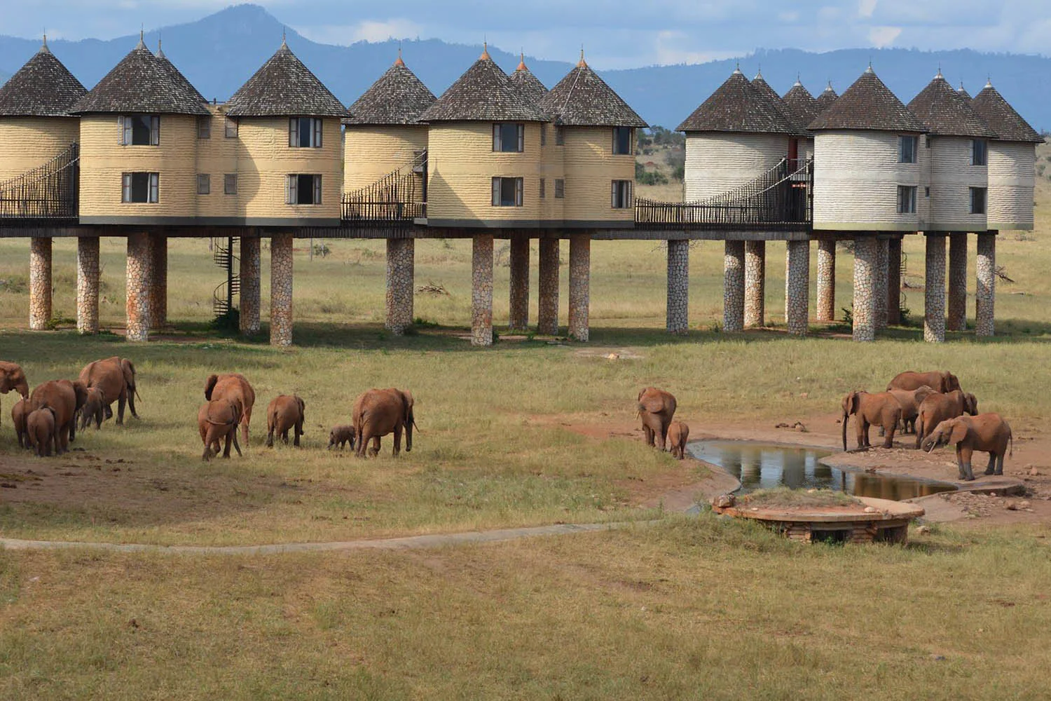 Salt Lick Safari Lodge — image 4