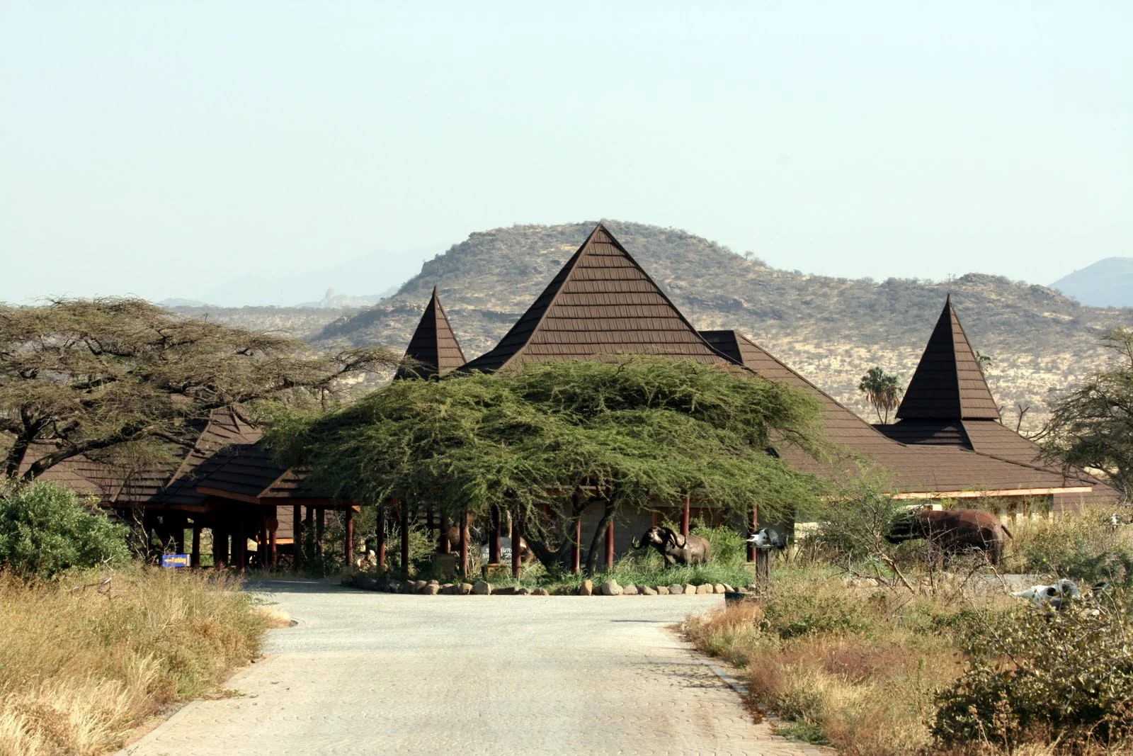 Samburu Simba Lodge — image 4