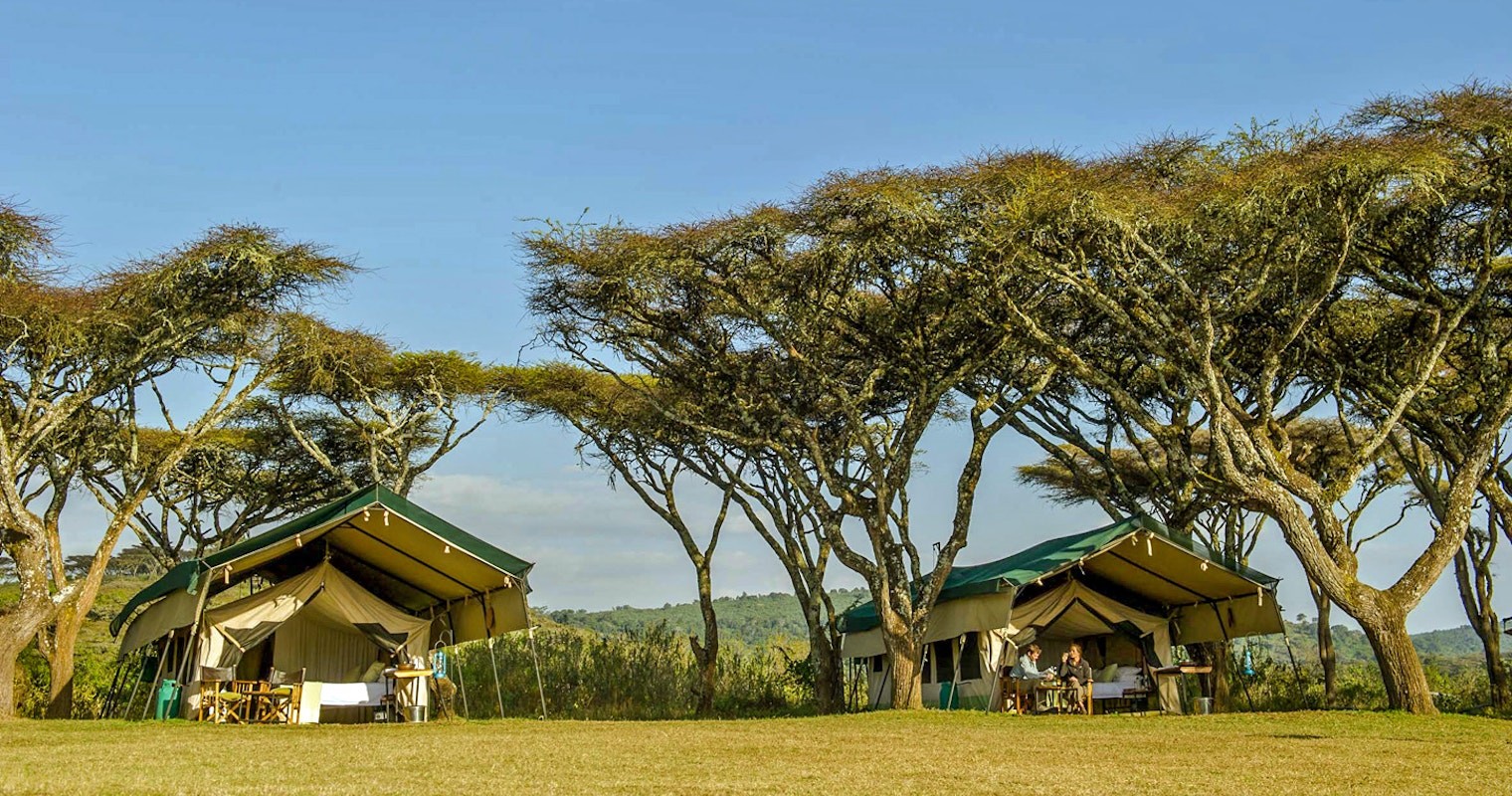 Sanctuary Ngorongoro Crater Camp — image 3