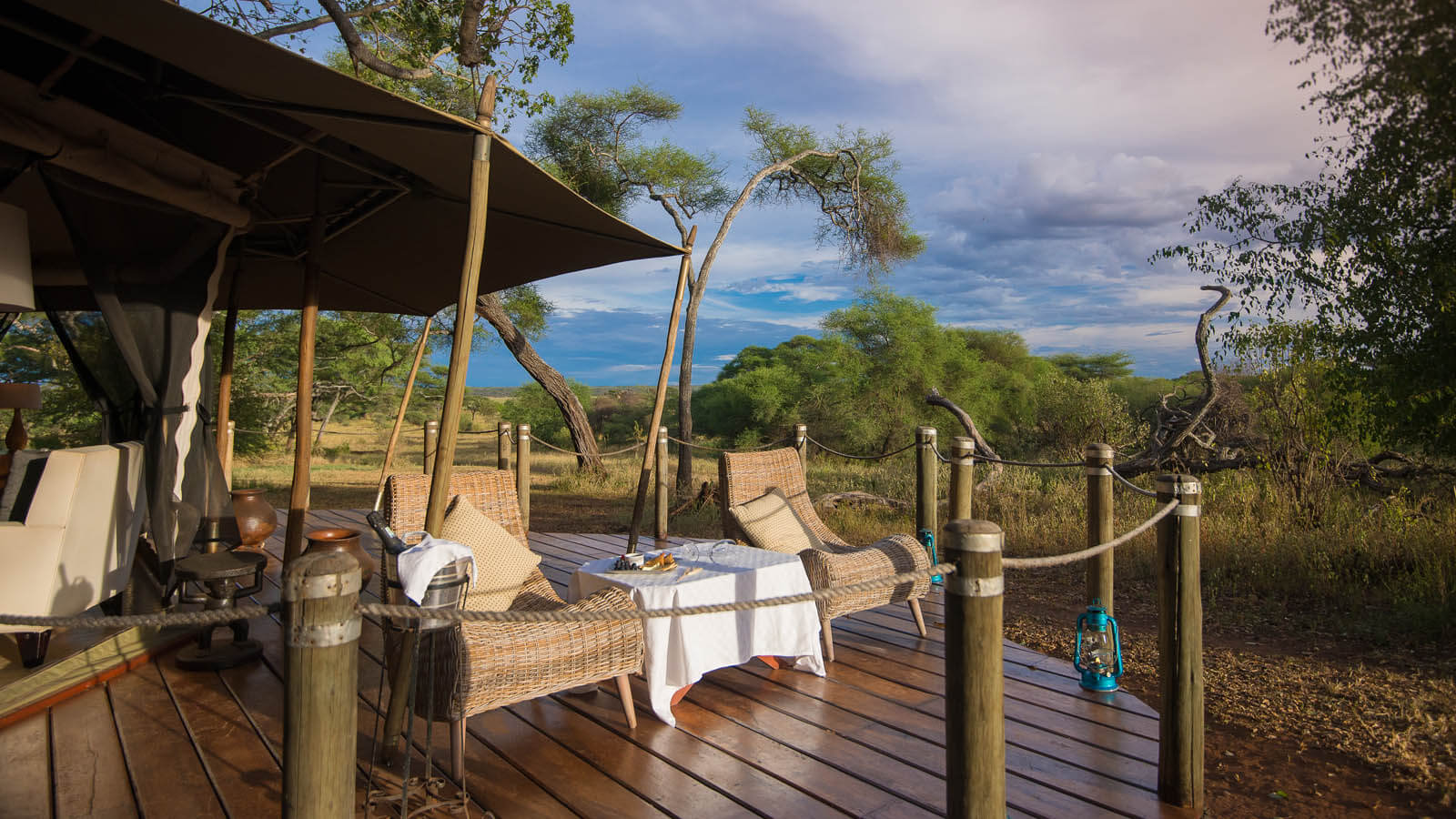Sanctuary Swala Tarangire — image 2