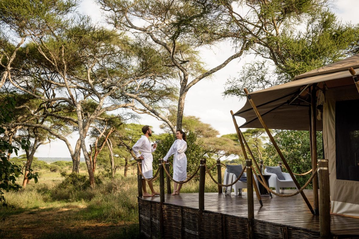 Sanctuary Swala Tarangire — image 3