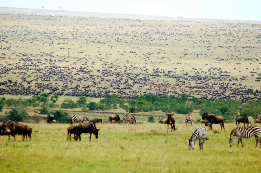 Sankale Camp — image 2