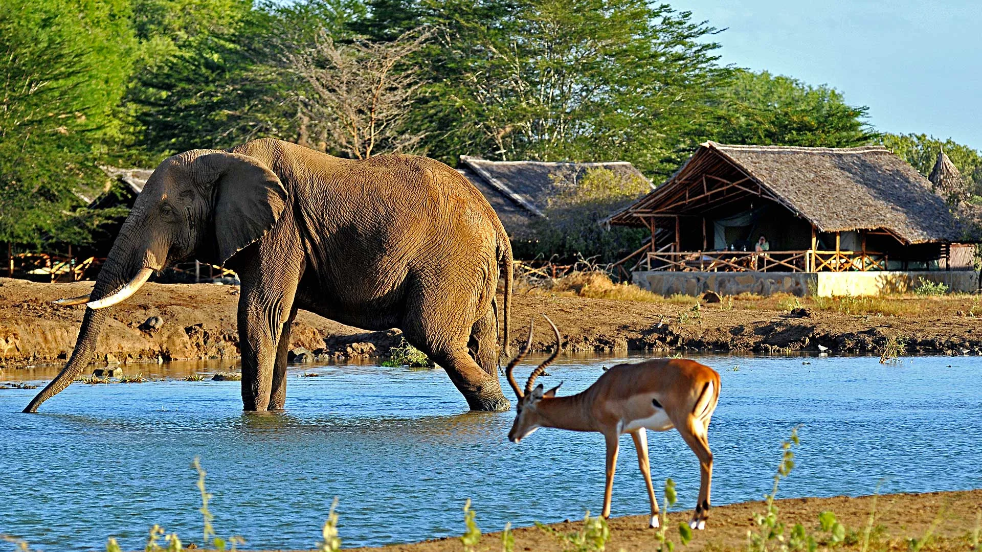 Satao Tented Camp — image 3
