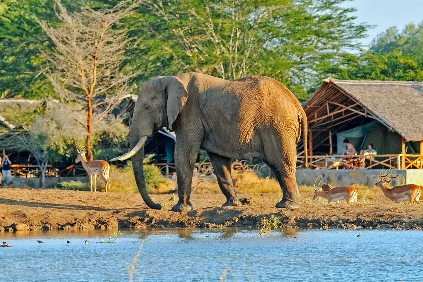 Satao Tented Camp — Tsavo East National Park