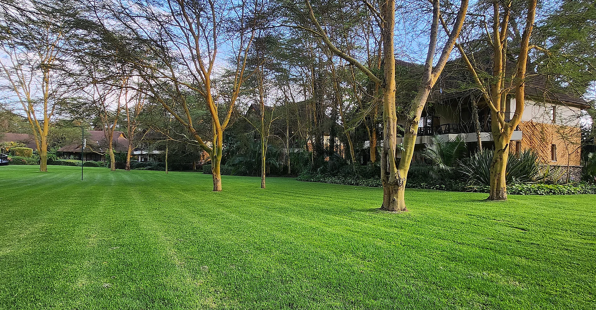 Sawela Lodges — image 4