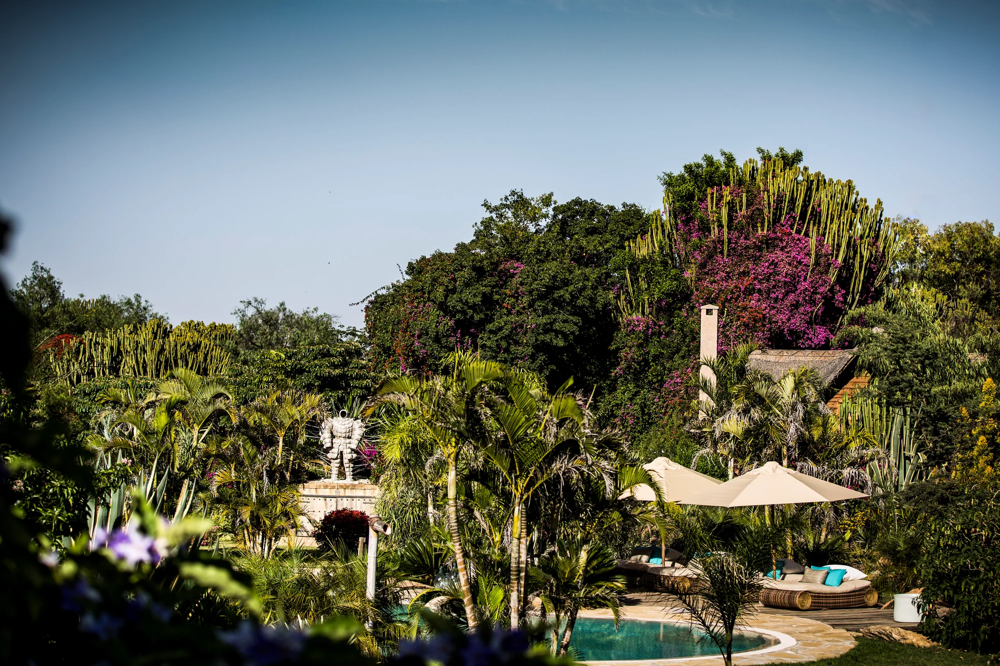 Segera Retreat — image 2