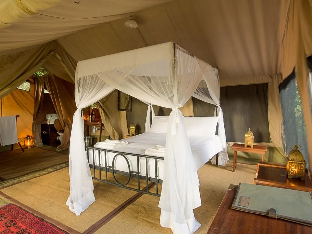 Sentinel Mara Camp — image 4