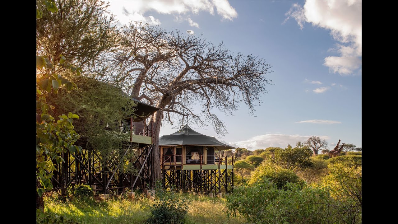 Serengeti Lake Magadi Lodge — image 4