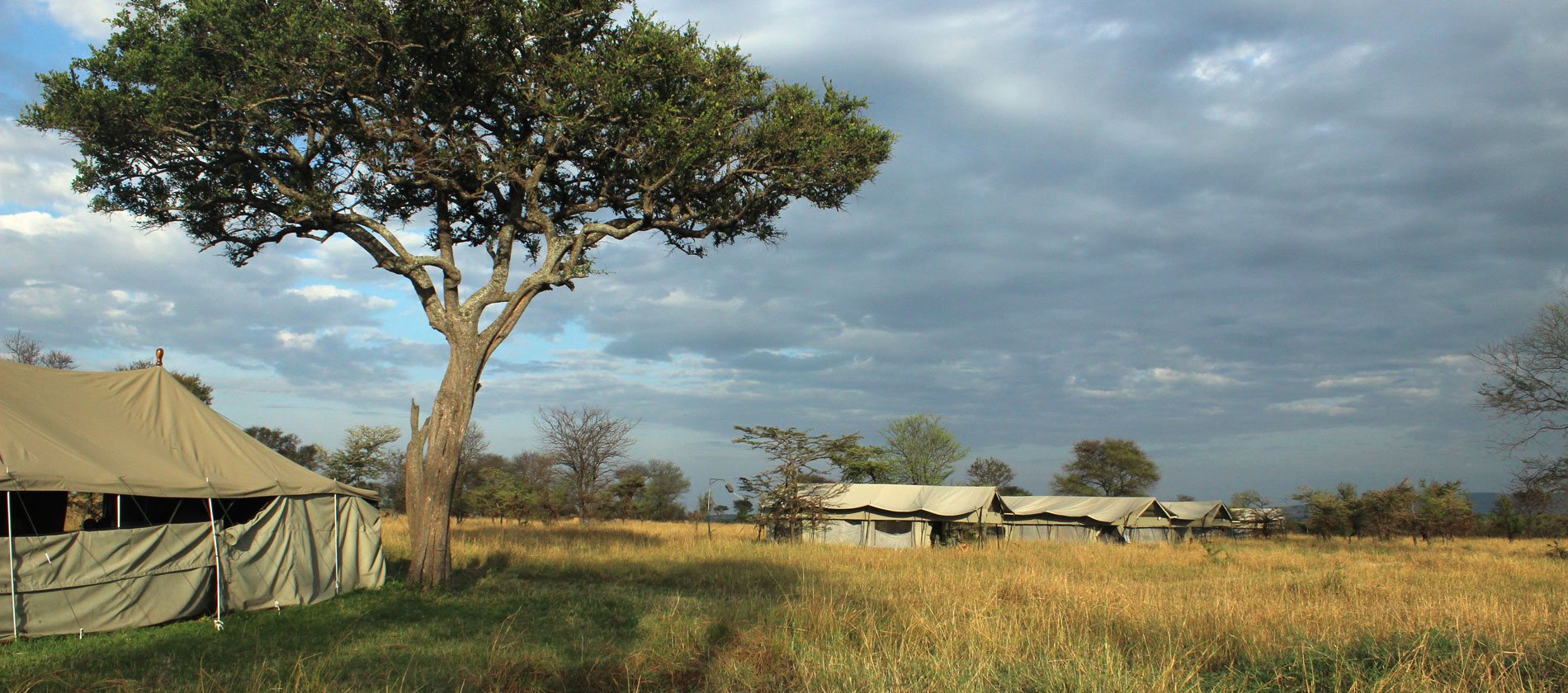Serengeti North Wilderness Camp — image 3