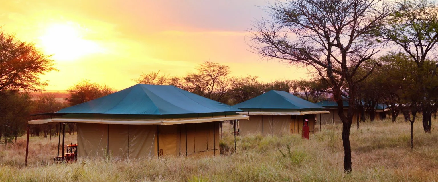 Serengeti Plains Camp by Top Guides — image 3