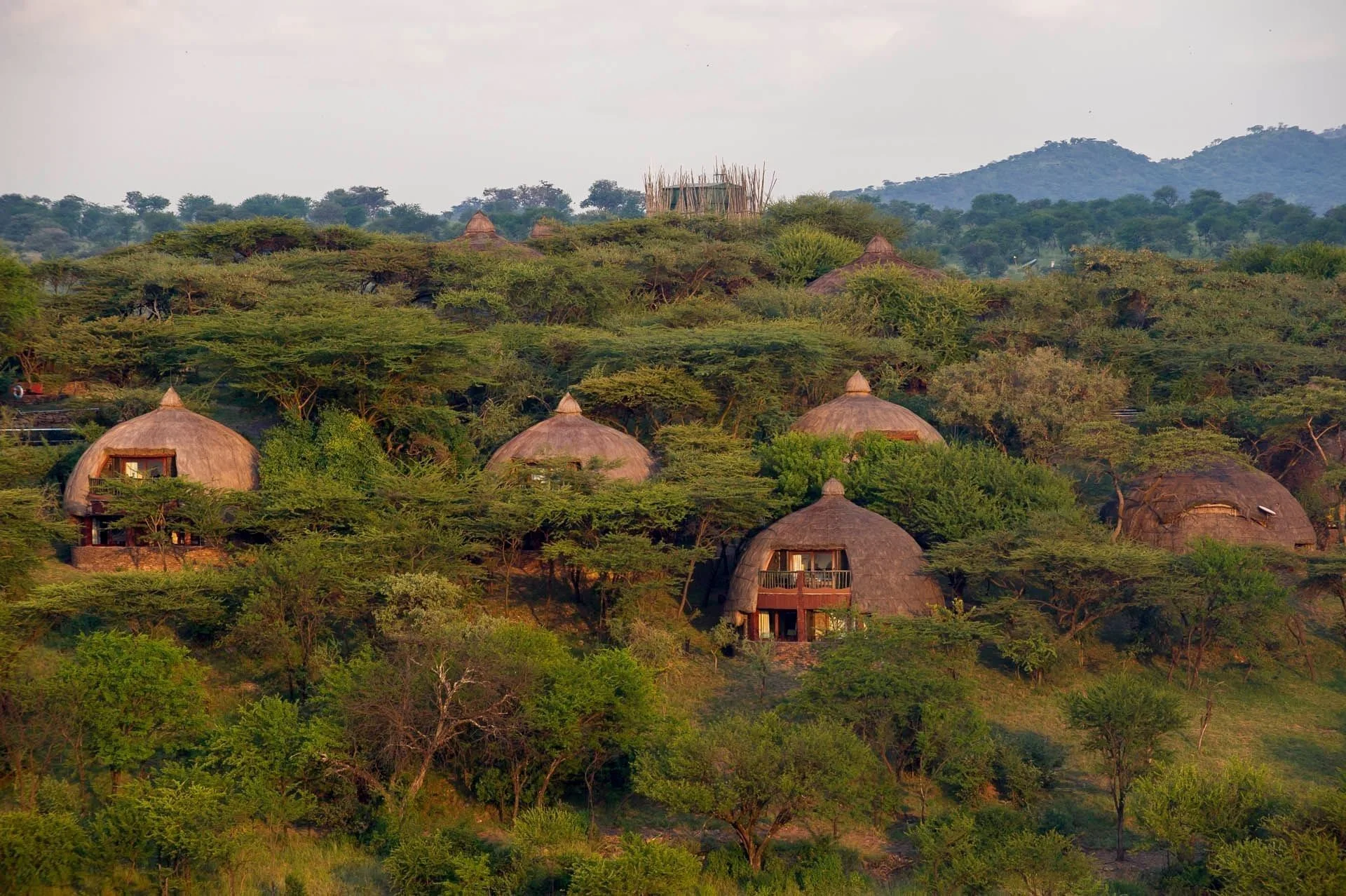 Serengeti Serena Safari Lodge — image 2