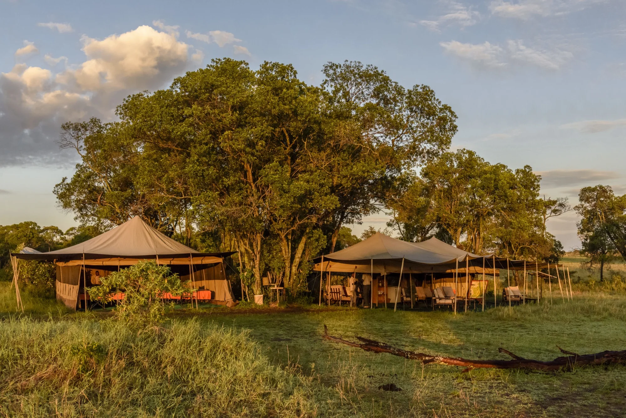 Serengeti Wildlands Camp — image 2