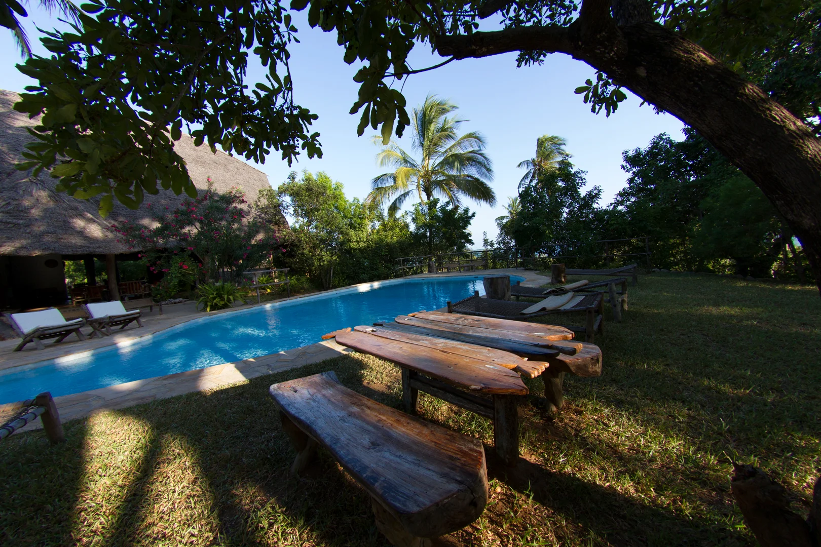 Shamba Kilole Eco Lodge — image 3