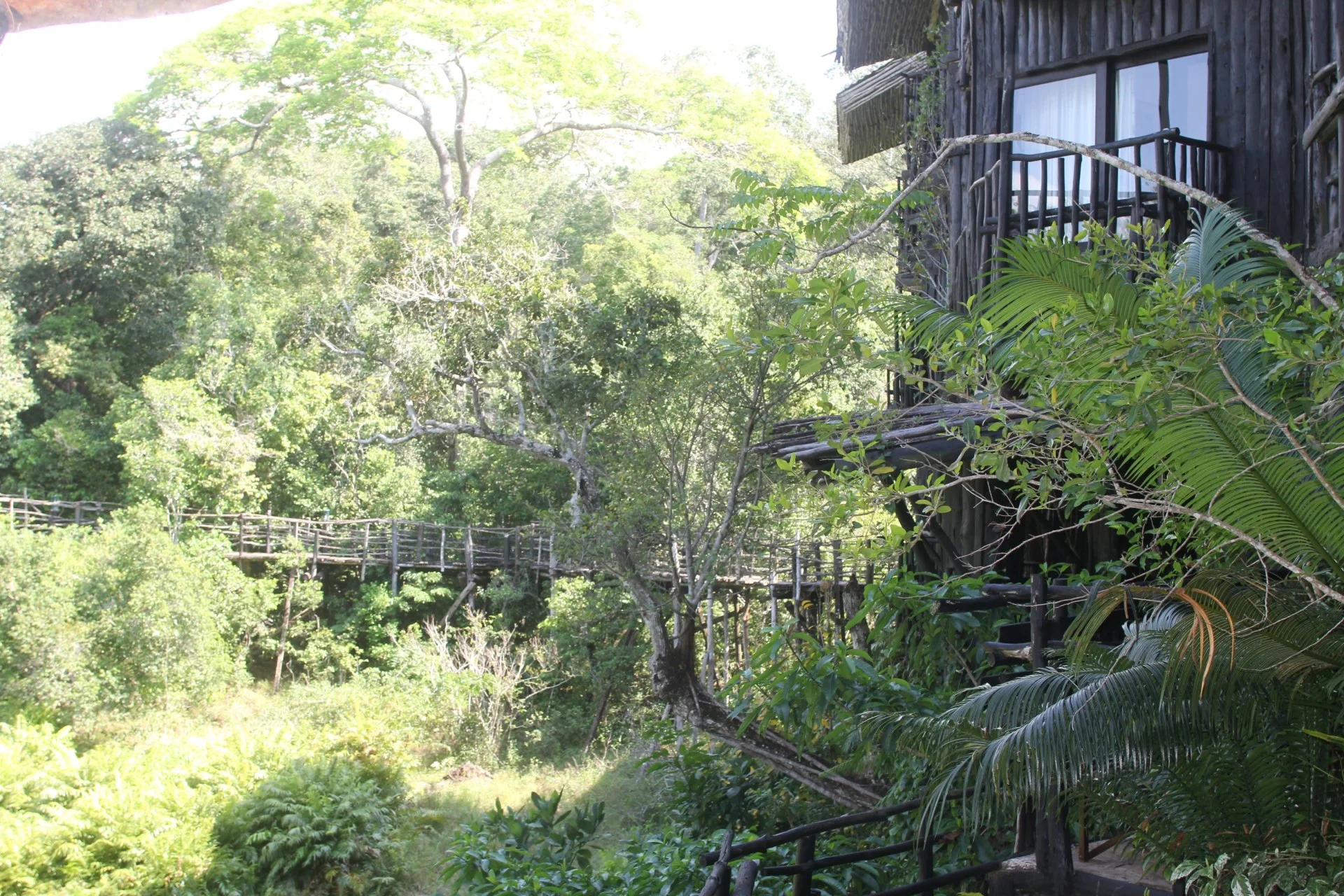 Shimba Hills Lodge — image 3