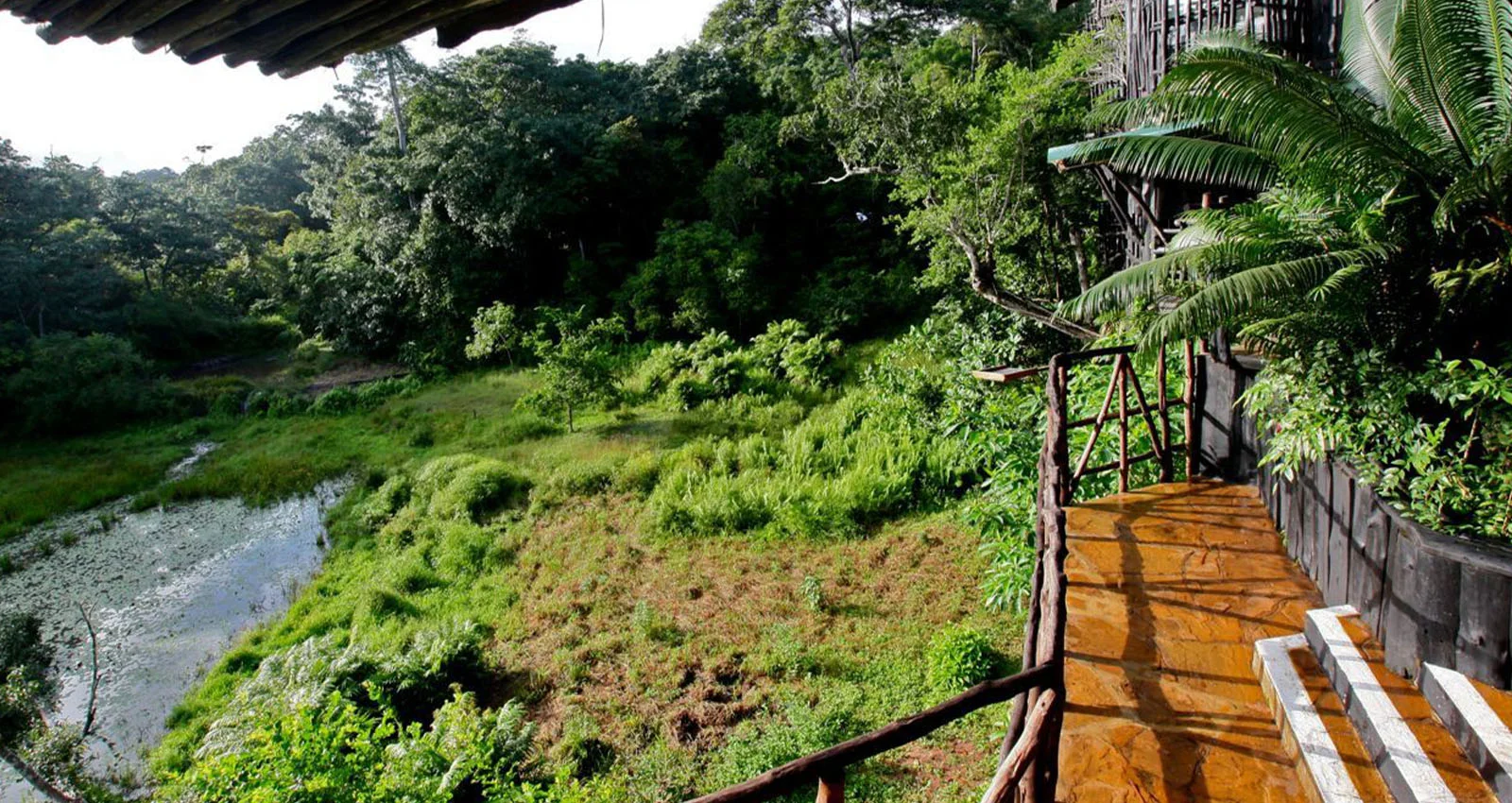 Shimba Hills Lodge — image 4