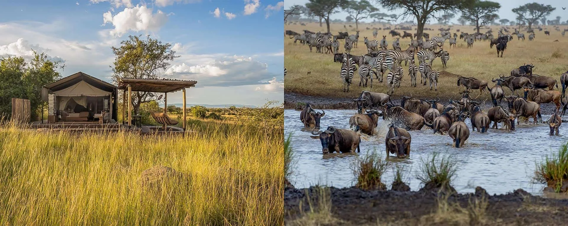 Singita Mara River Tented Camp — image 3