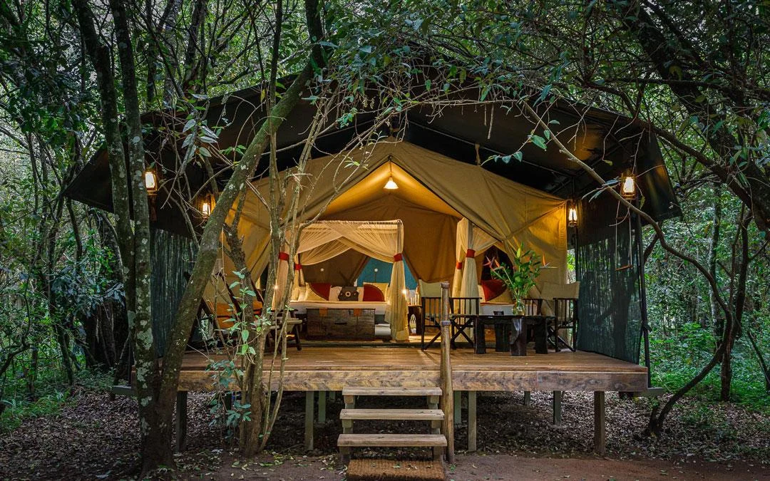 Soroi Cheetah Tented Camp